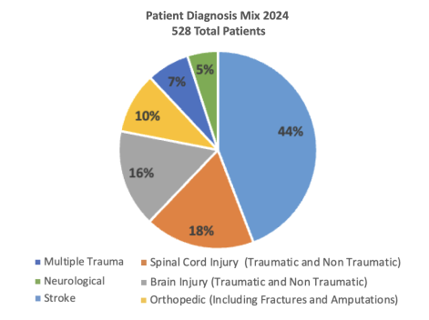 Patient Diagnosis Mix Pie Chart