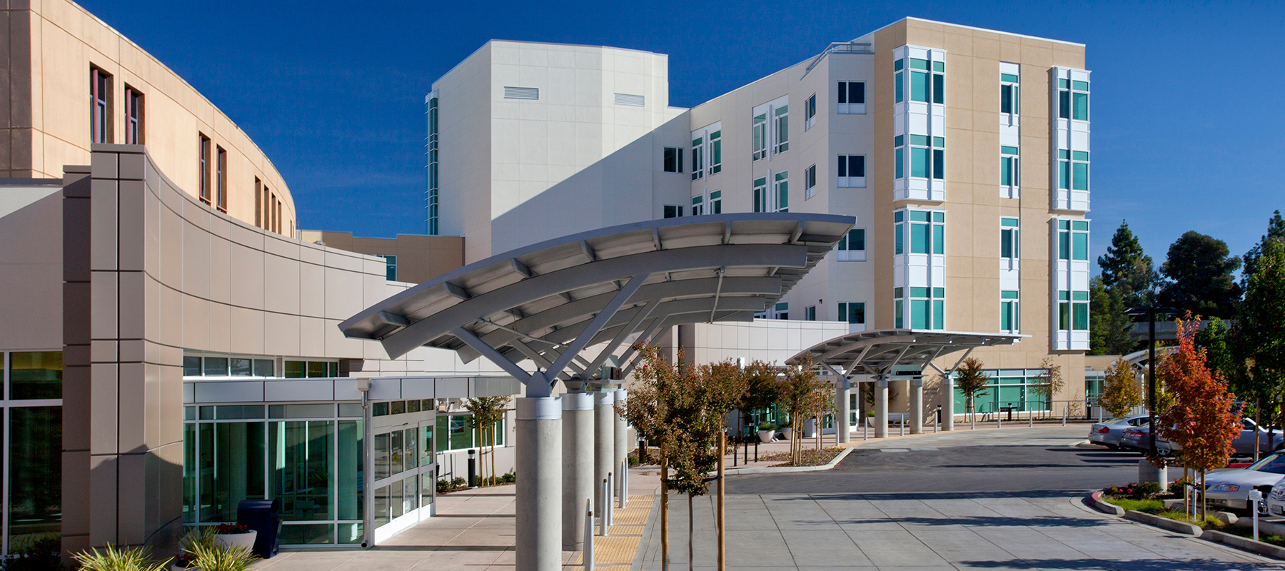 Aortic Valve Program Building