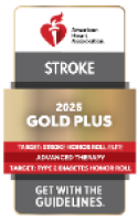 Stroke - Gold Pluys